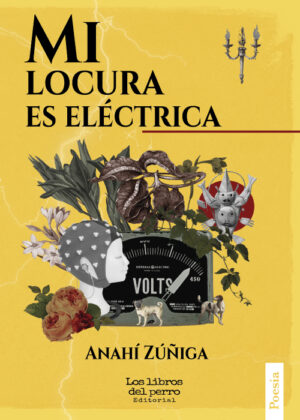 Mi locura es eléctrica - Anahí Zúñiga