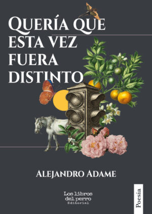 Quería que esta vez fuera distinto - Alejandro Adame
